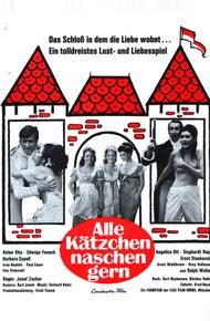 Все кошки любят полакомиться